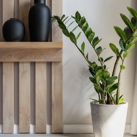 Liv 9 Apartmán Soluň